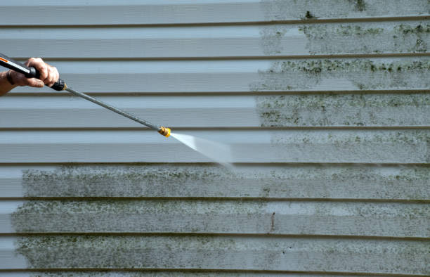 Best Roof Washing  in Edmore, MI
